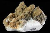 Quartz and Calcite Crystal Association - Mexico #71951-1